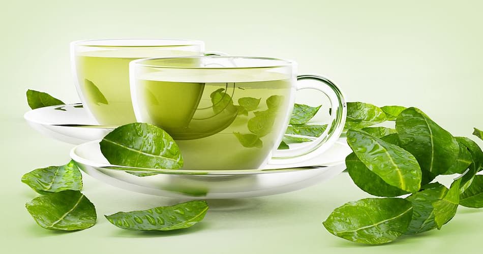 Green Tea Tx100 Weight Loss